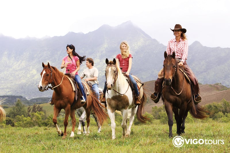 Riding перевод. Ранчо верхом на лошади. Лошадь антураж. Family Horse riding. Horseback перевод.